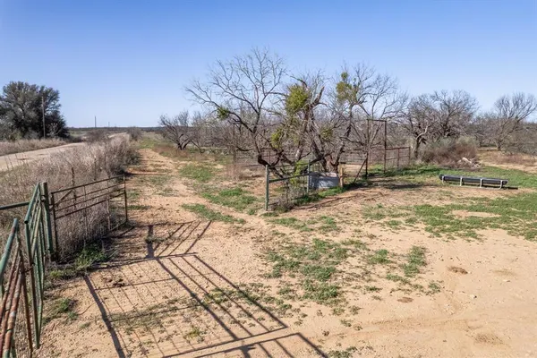 a view of a yard with trees