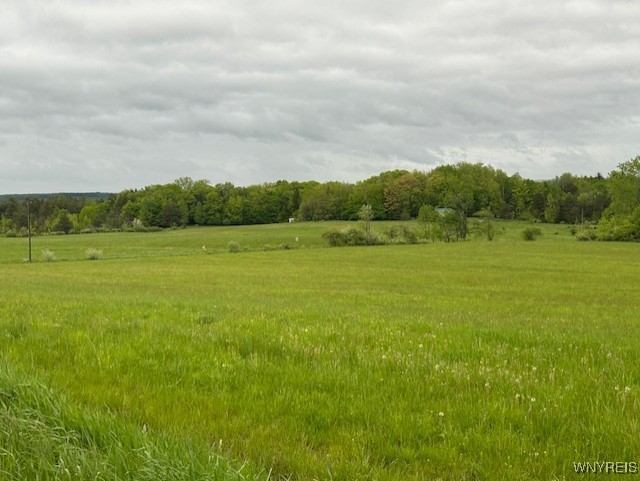 985 Sierk Road Bennington, NY 14011 - Photo 13 of 16