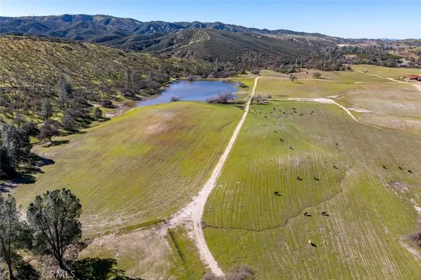 a bathroom with a sink a toilet and a shower