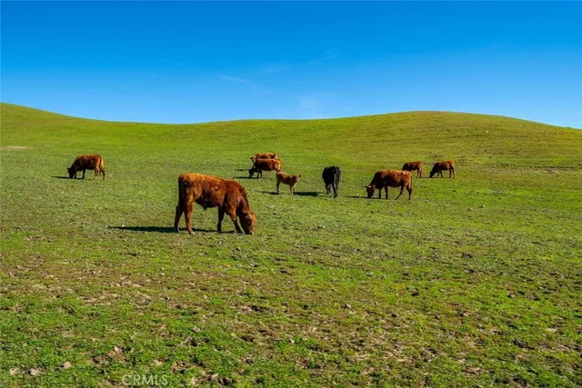 $6,995,000 | 535 Calf Canyon Highway, Creston, CA 93432