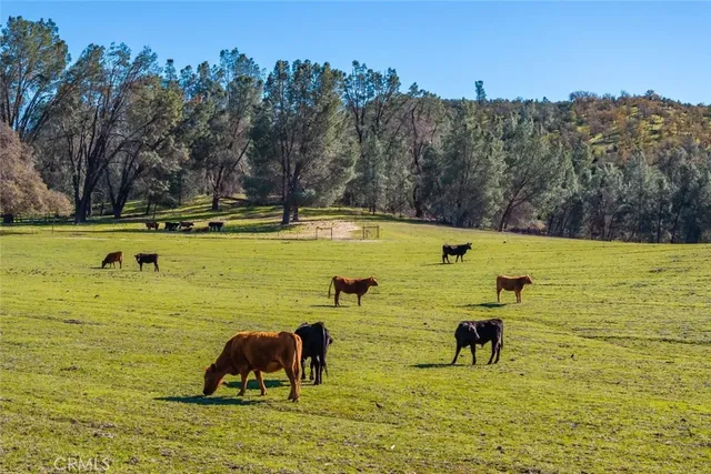 $6,995,000 | 535 Calf Canyon Highway, Creston, CA 93432