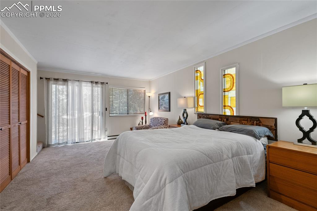 756 Spring Valley Drive Divide, CO 80814 - Photo 16 of 48 a bedroom with a large bed and a window