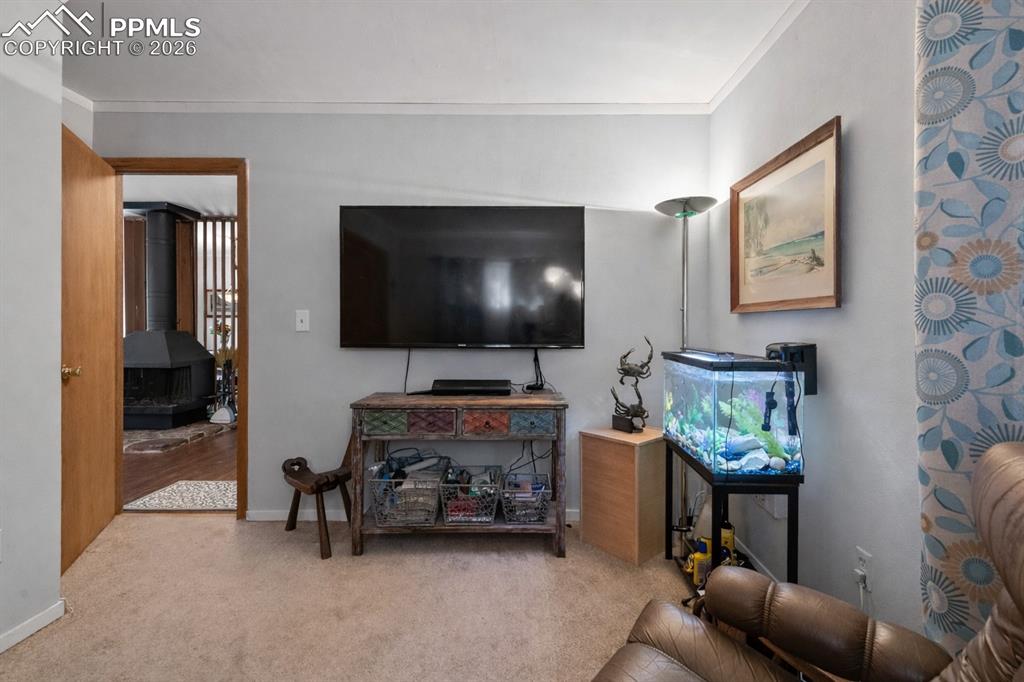 756 Spring Valley Drive Divide, CO 80814 - Photo 19 of 48 a living room with furniture and a flat screen tv