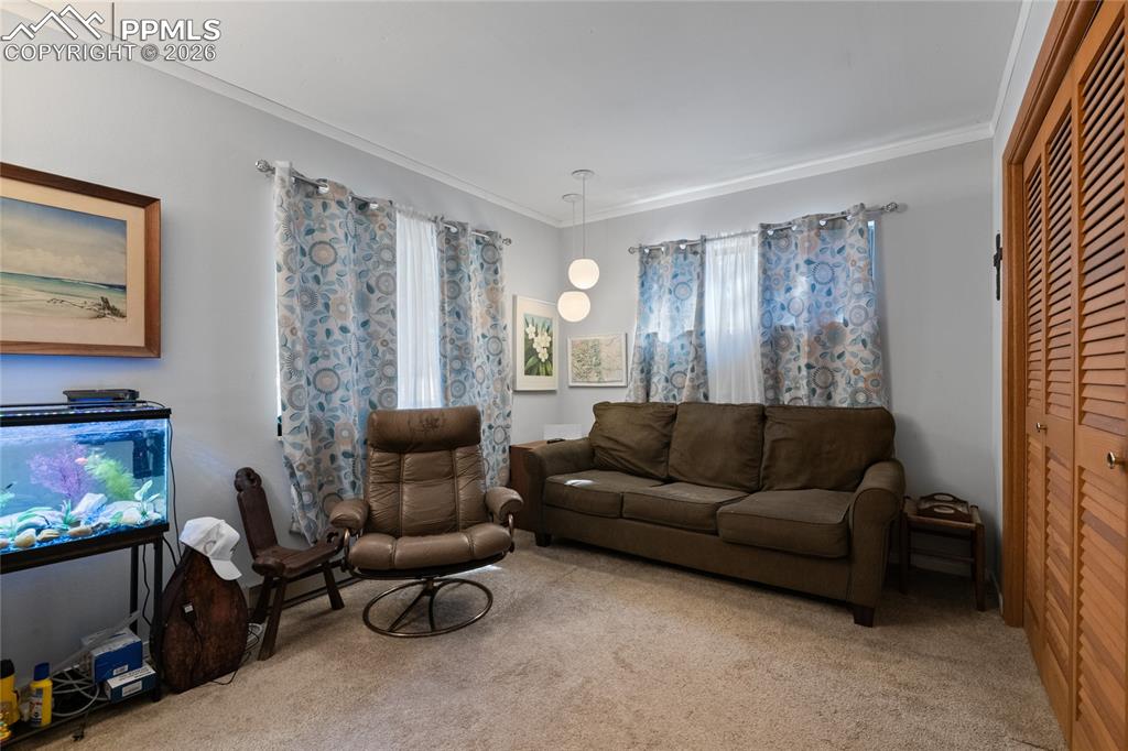 756 Spring Valley Drive Divide, CO 80814 - Photo 20 of 48 a living room with furniture and a flat screen tv