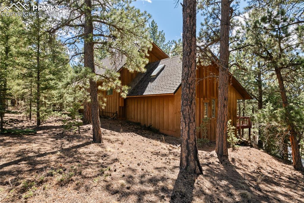 756 Spring Valley Drive Divide, CO 80814 - Photo 2 of 48 a view of a backyard with a tree