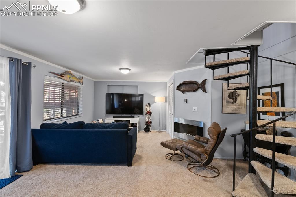 756 Spring Valley Drive Divide, CO 80814 - Photo 23 of 48 a living room with furniture and a flat screen tv