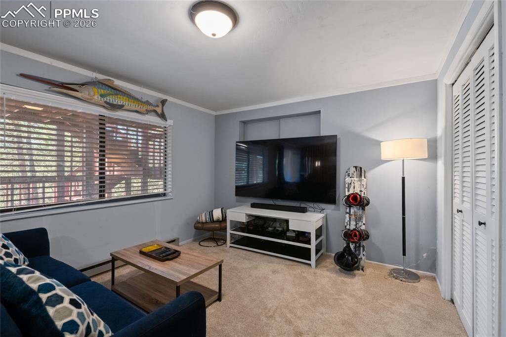 756 Spring Valley Drive Divide, CO 80814 - Photo 24 of 48 a living room with furniture a flat screen tv and a window