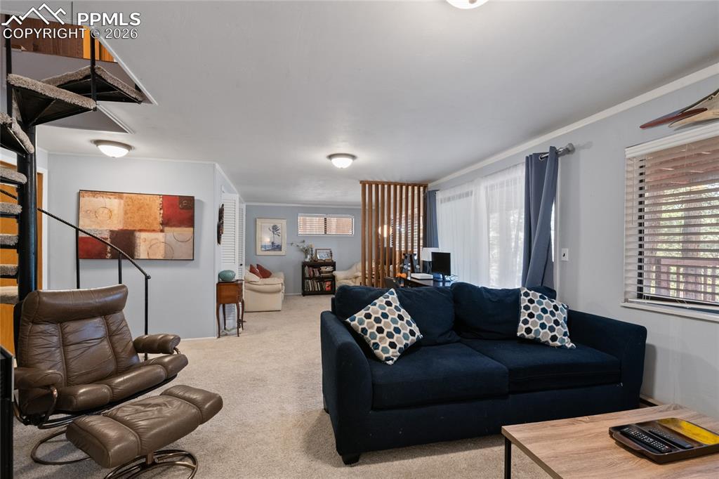 756 Spring Valley Drive Divide, CO 80814 - Photo 25 of 48 a living room with furniture and a window