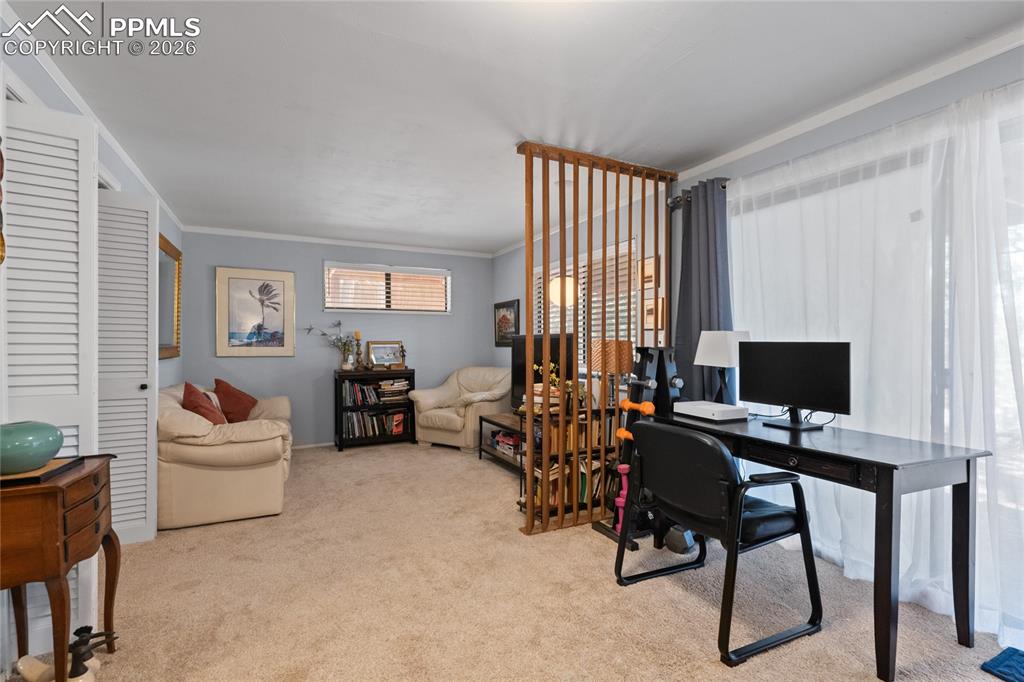 756 Spring Valley Drive Divide, CO 80814 - Photo 26 of 48 a workspace with furniture and a window