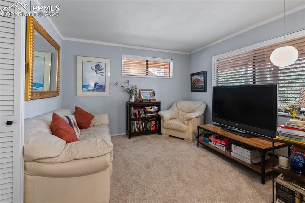 756 Spring Valley Drive Divide, CO 80814 - Photo 29 of 48 a living room with furniture and a flat screen tv