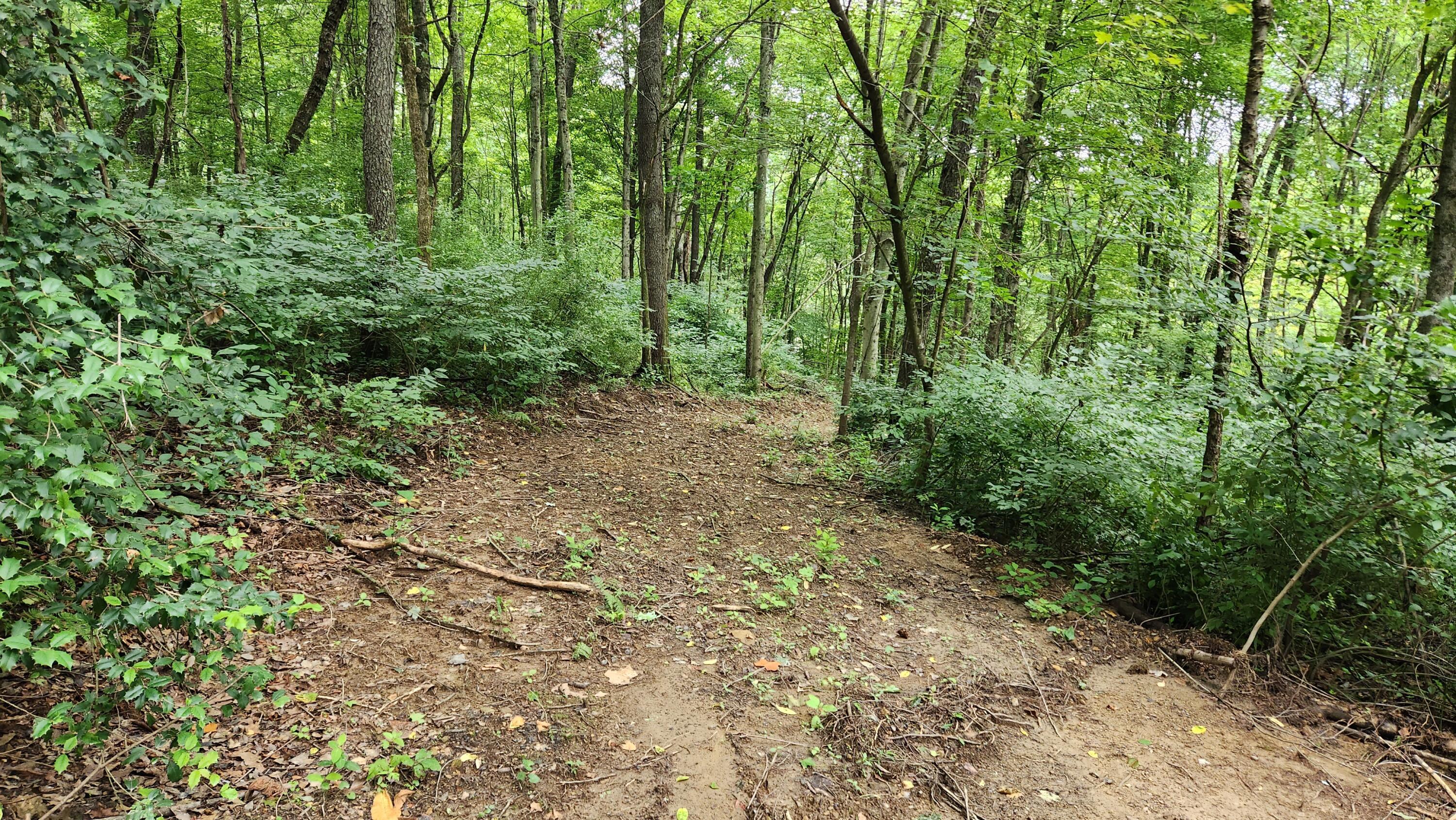 6658 Old State Road, Unit LOT 2) Crooksville, OH 43731 - Photo 20 of 24 20230816_131713