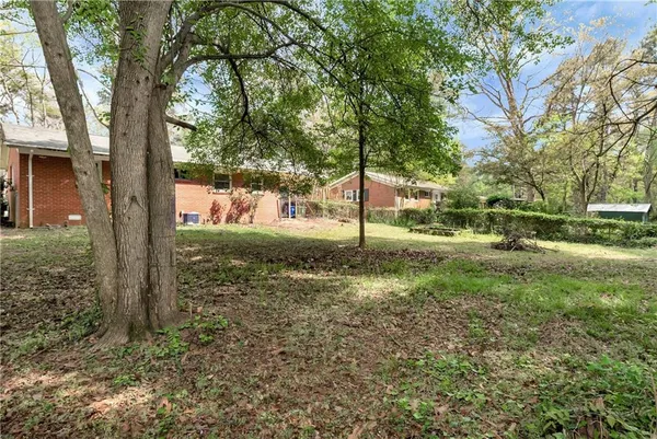 a view of a backyard with plants and large trees