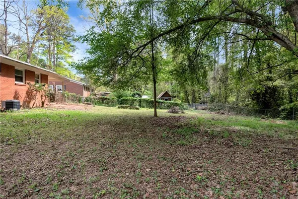 a view of a tree in the middle of a yard