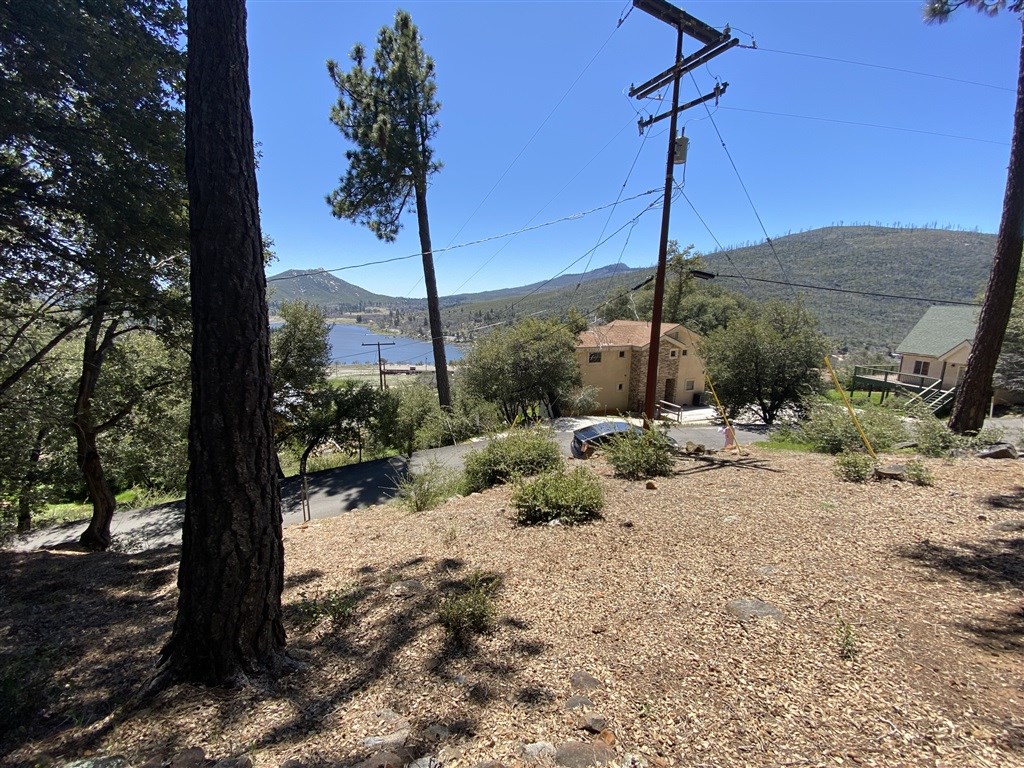 a view of a road with a tree