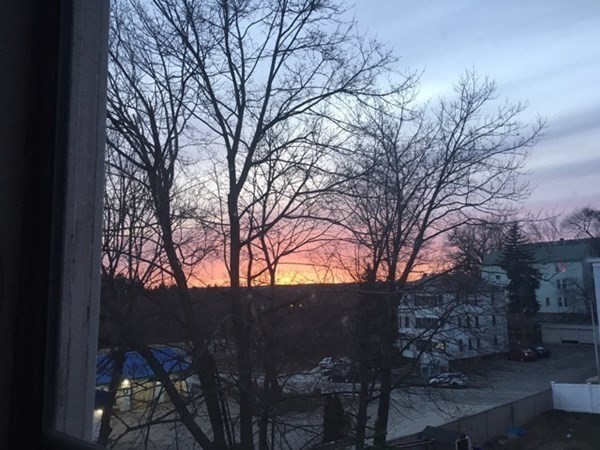 4 Maxwell Court Worcester, MA 01607 - Photo 29 of 29