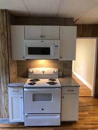 4 Maxwell Court Worcester, MA 01607 - Photo 7 of 29