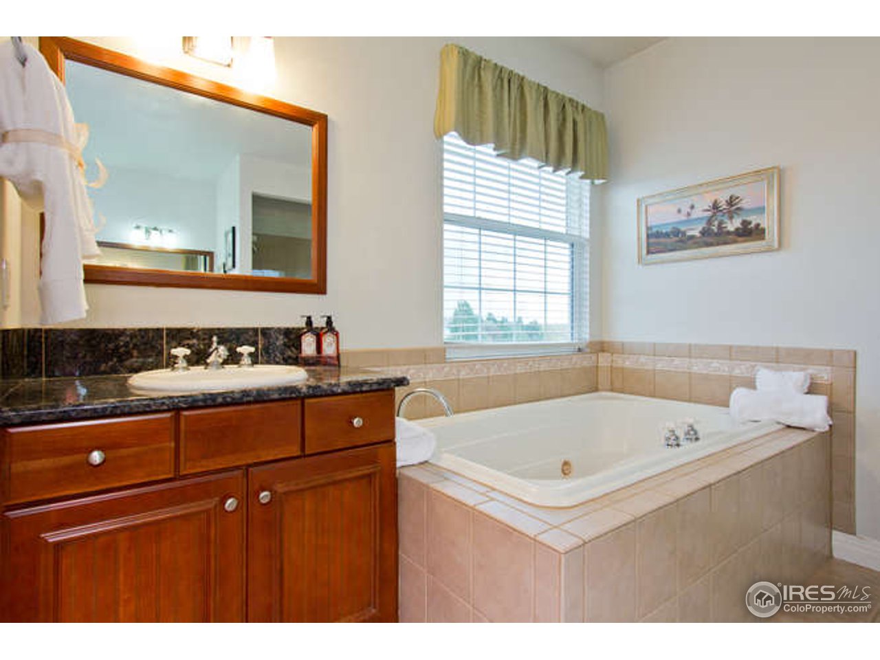 3460 Rookery Road Fort Collins, CO 80528 - Photo 16 of 23 a bathroom with a sink and a bathtub