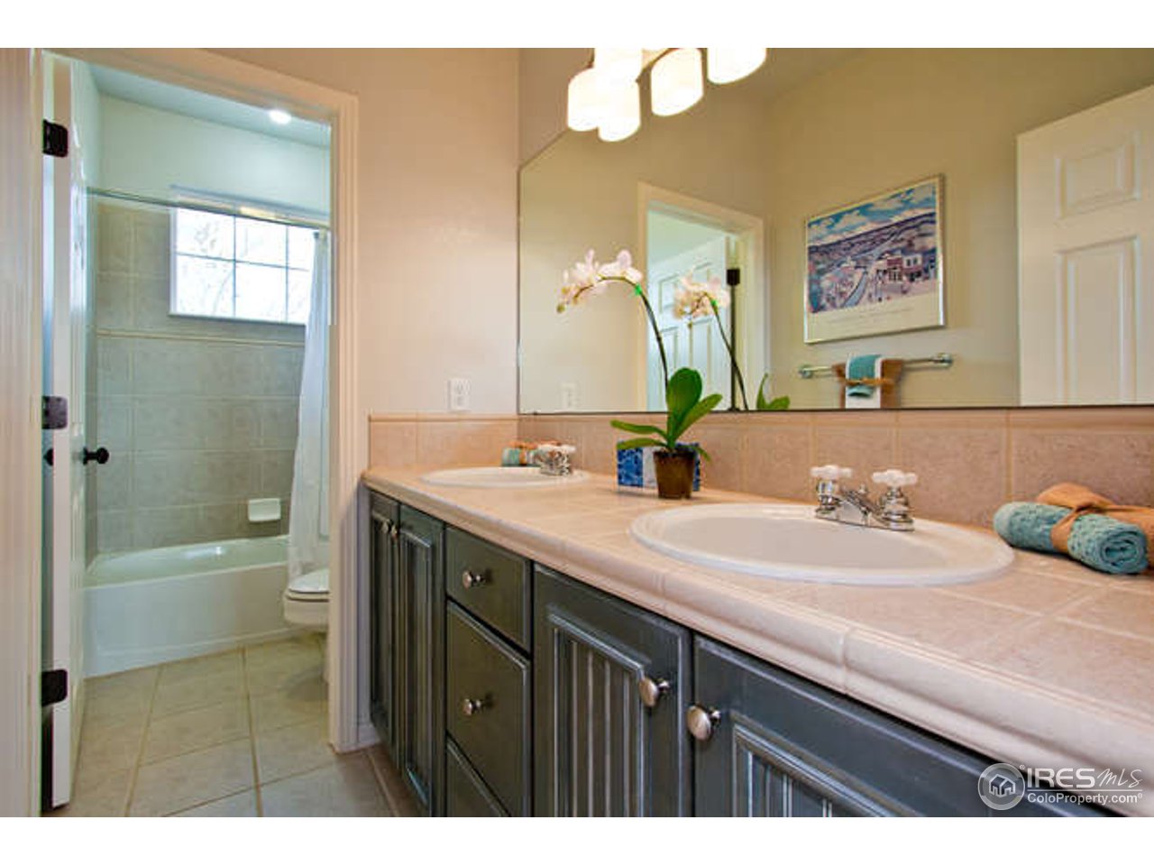 3460 Rookery Road Fort Collins, CO 80528 - Photo 21 of 23 a bathroom with a sink and a mirror
