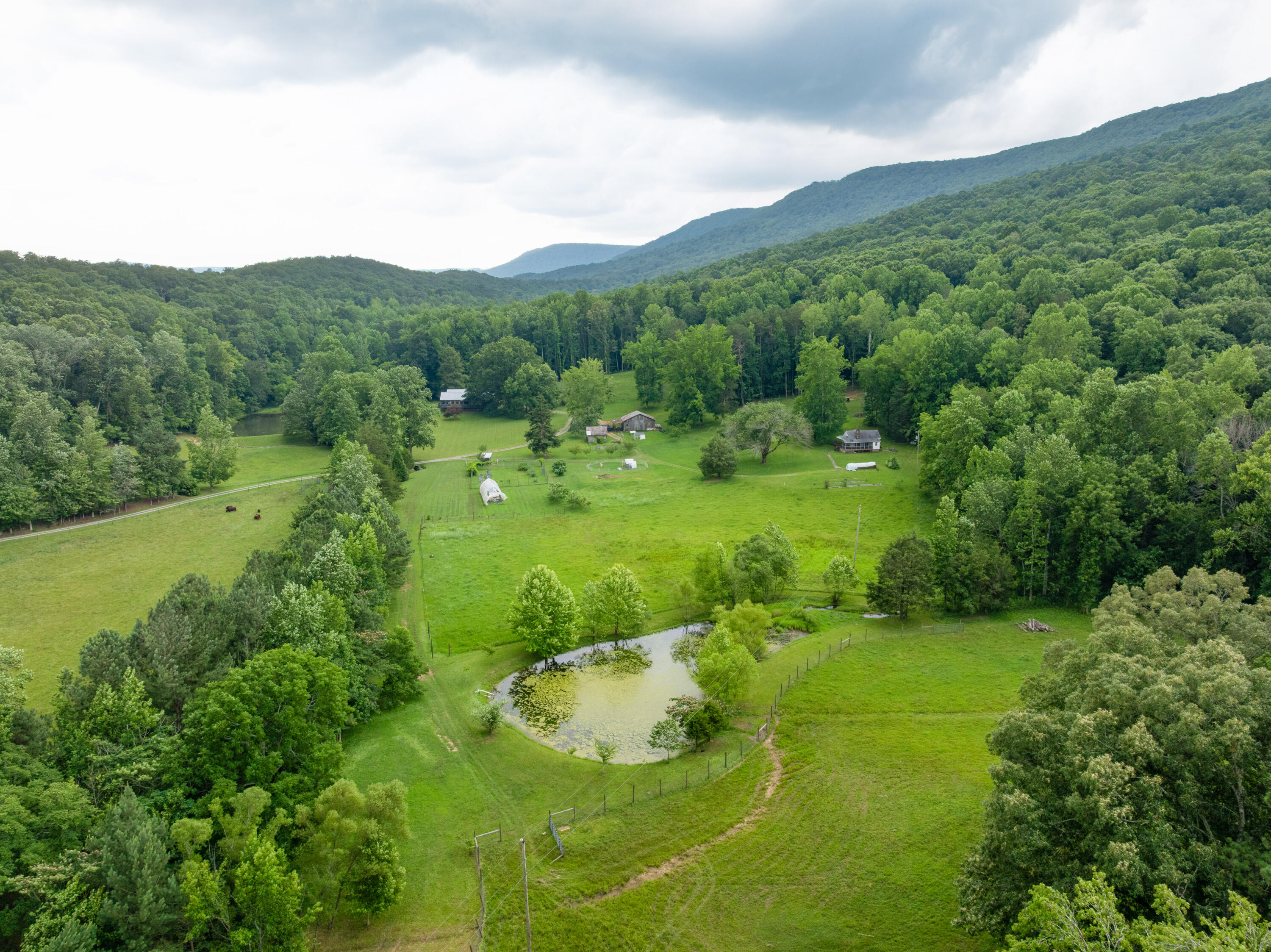 1261 South Cedar Lane Chickamauga, GA 30707 - Photo 69 of 74 22 - 1621 S Cedar - Drone