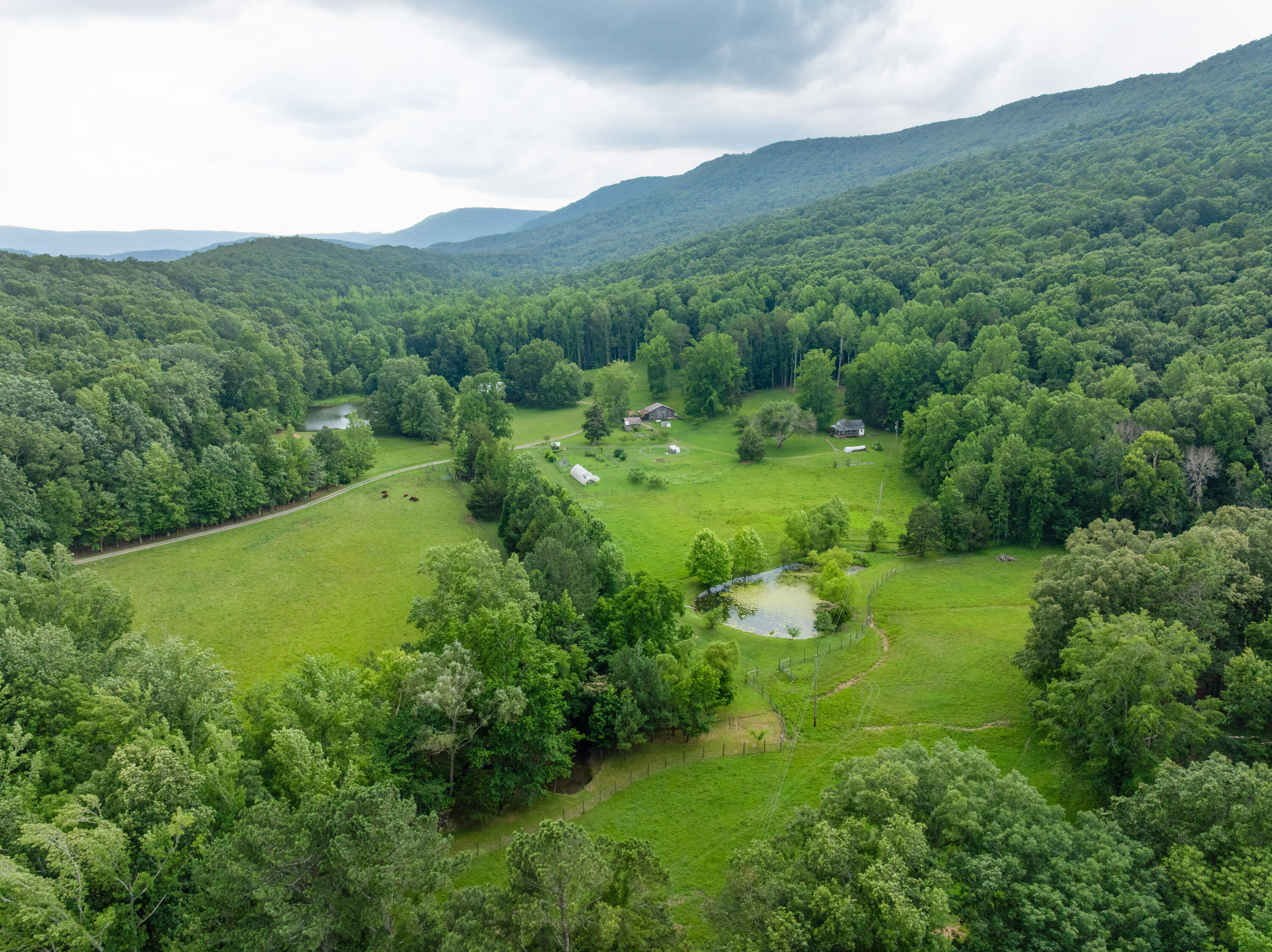 1261 South Cedar Lane Chickamauga, GA 30707 - Photo 70 of 74 23 - 1621 S Cedar - Drone