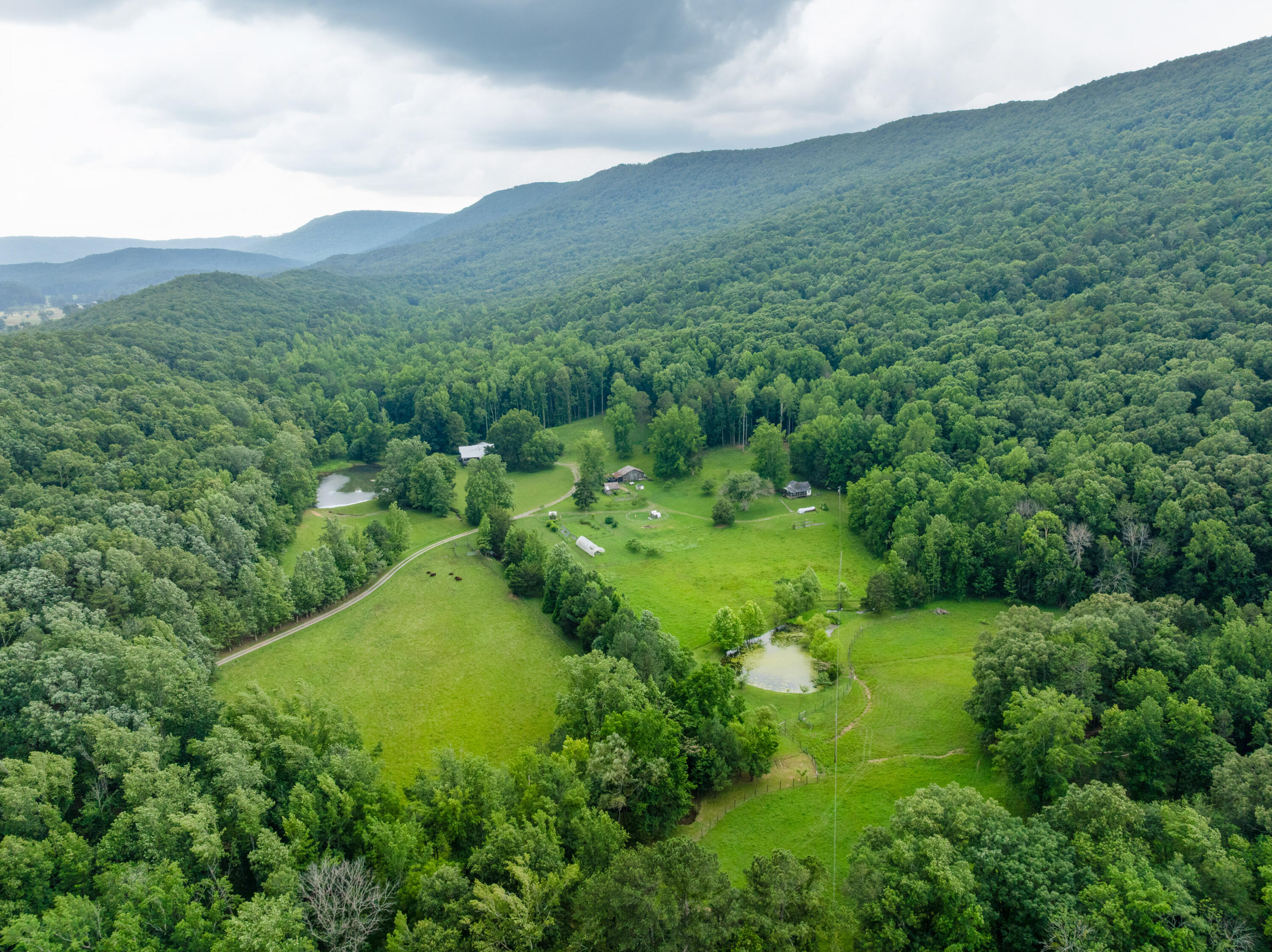 1261 South Cedar Lane Chickamauga, GA 30707 - Photo 71 of 74 24 - 1621 S Cedar - Drone