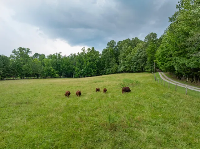 $1,750,000 | 1261 South Cedar Lane, Chickamauga, GA 30707