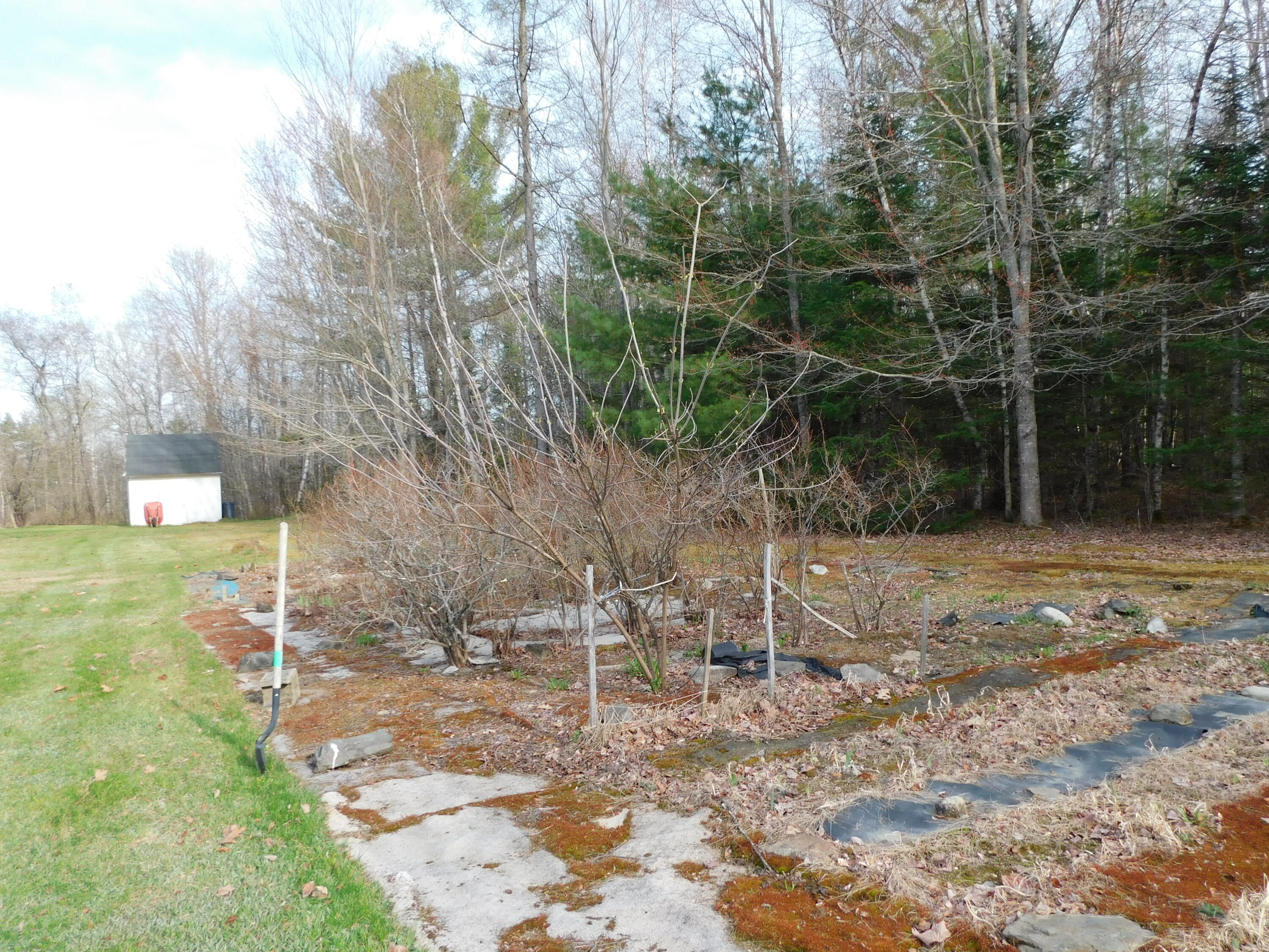 132 Station Road Etna, ME 04434 - Photo 19 of 28 DSCN3770