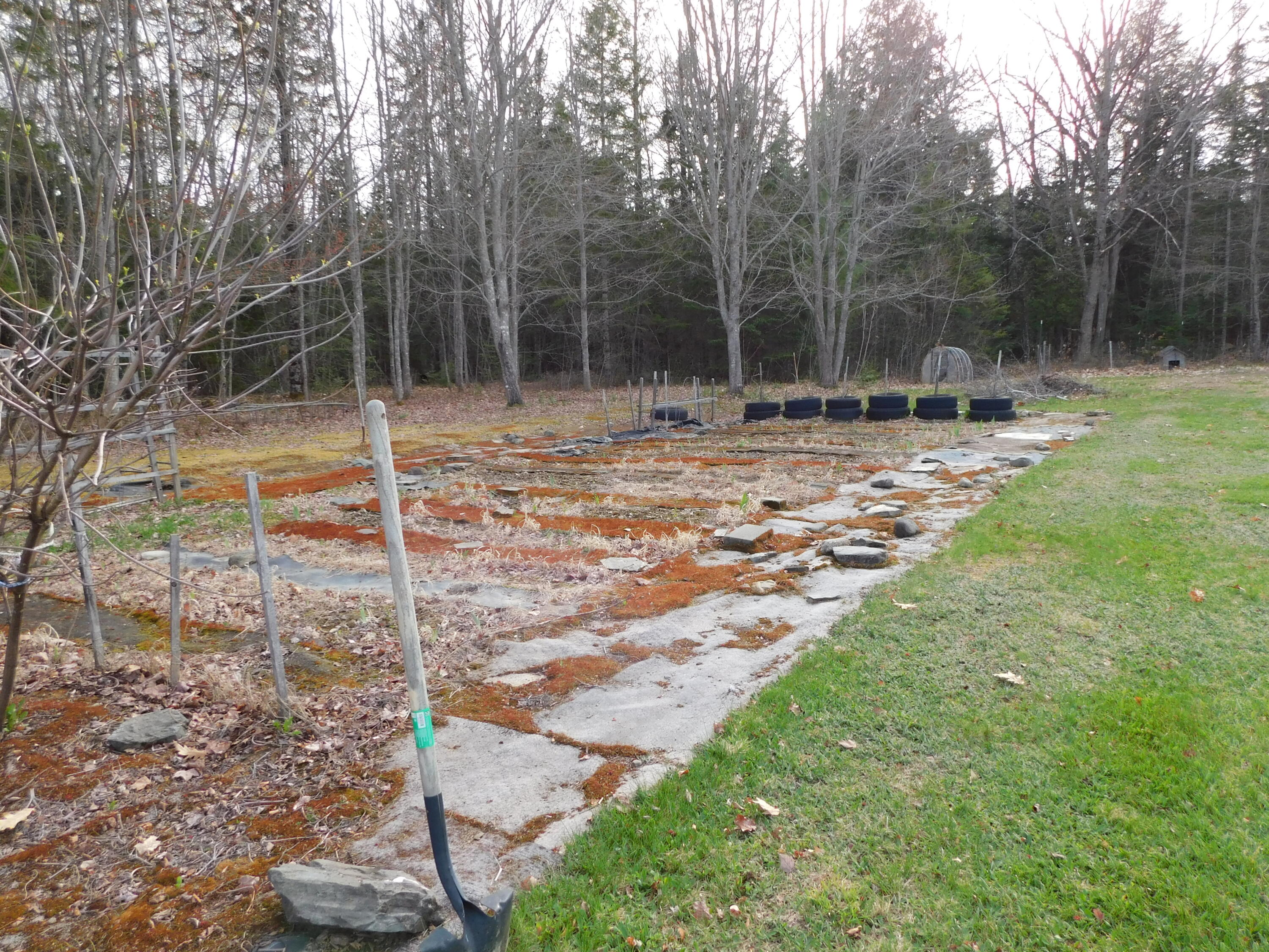 132 Station Road Etna, ME 04434 - Photo 20 of 28 DSCN3768