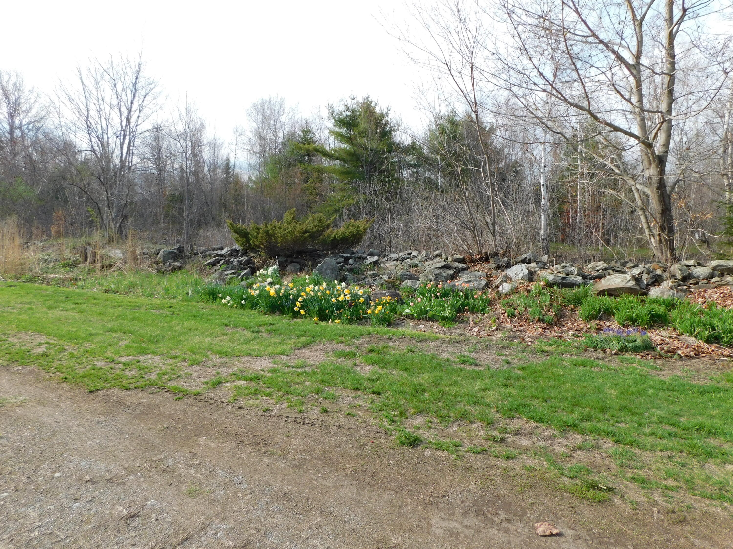 132 Station Road Etna, ME 04434 - Photo 27 of 28 DSCN3760