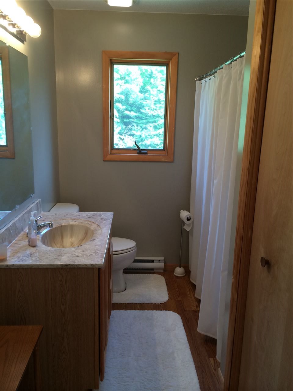 6379 Riley Ridge Thompsonville, MI 49683 - Photo 27 of 50 1820656-32.JPG