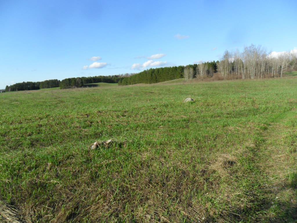 7897 Joy Road Kaleva, MI 49645 - Photo 8 of 19 1795911-7.JPG