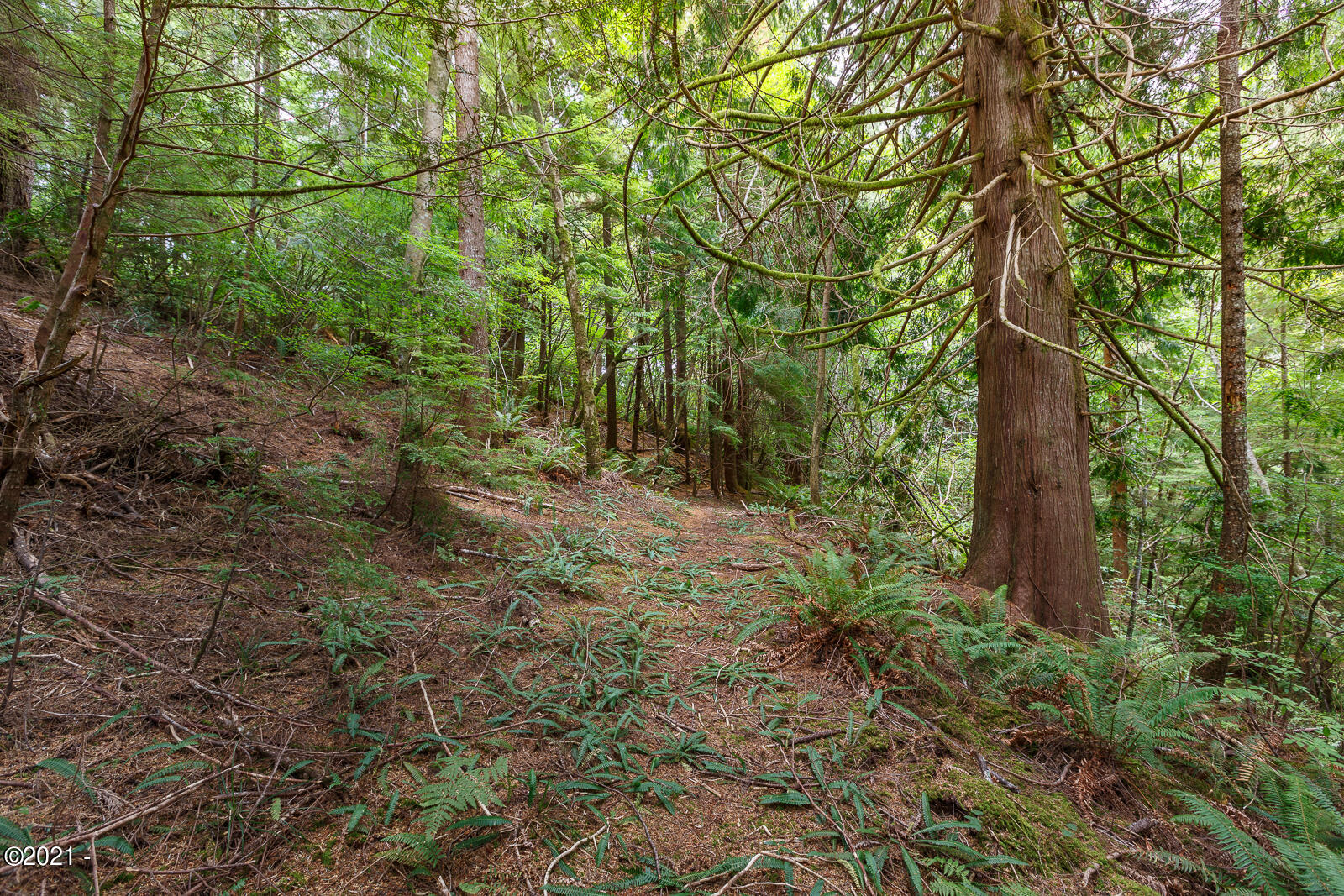 1207 Sandlake Road Cloverdale, OR 97112 - Photo 17 of 26 TL1207SandlakeRd-20