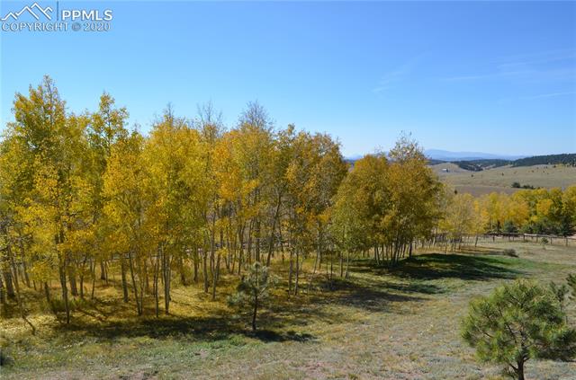 240 Ridge Top Drive Divide, CO 80814 - Photo 37 of 38