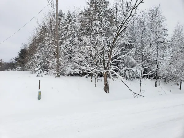 $24,500 | Chief Road, Bear Lake, MI 49614