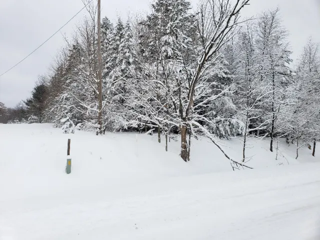 $24,500 | Chief Road, Bear Lake, MI 49614