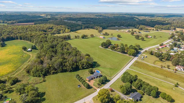 a view of a park with large trees