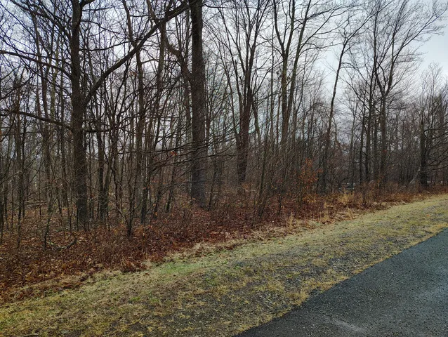 $19,500 | Blue Heron Court, Gouldsboro, PA 18424