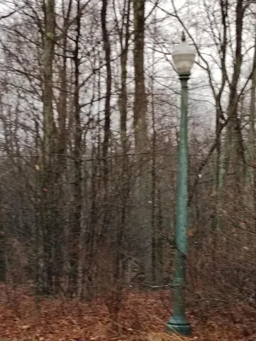 $19,500 | Blue Heron Court, Gouldsboro, PA 18424