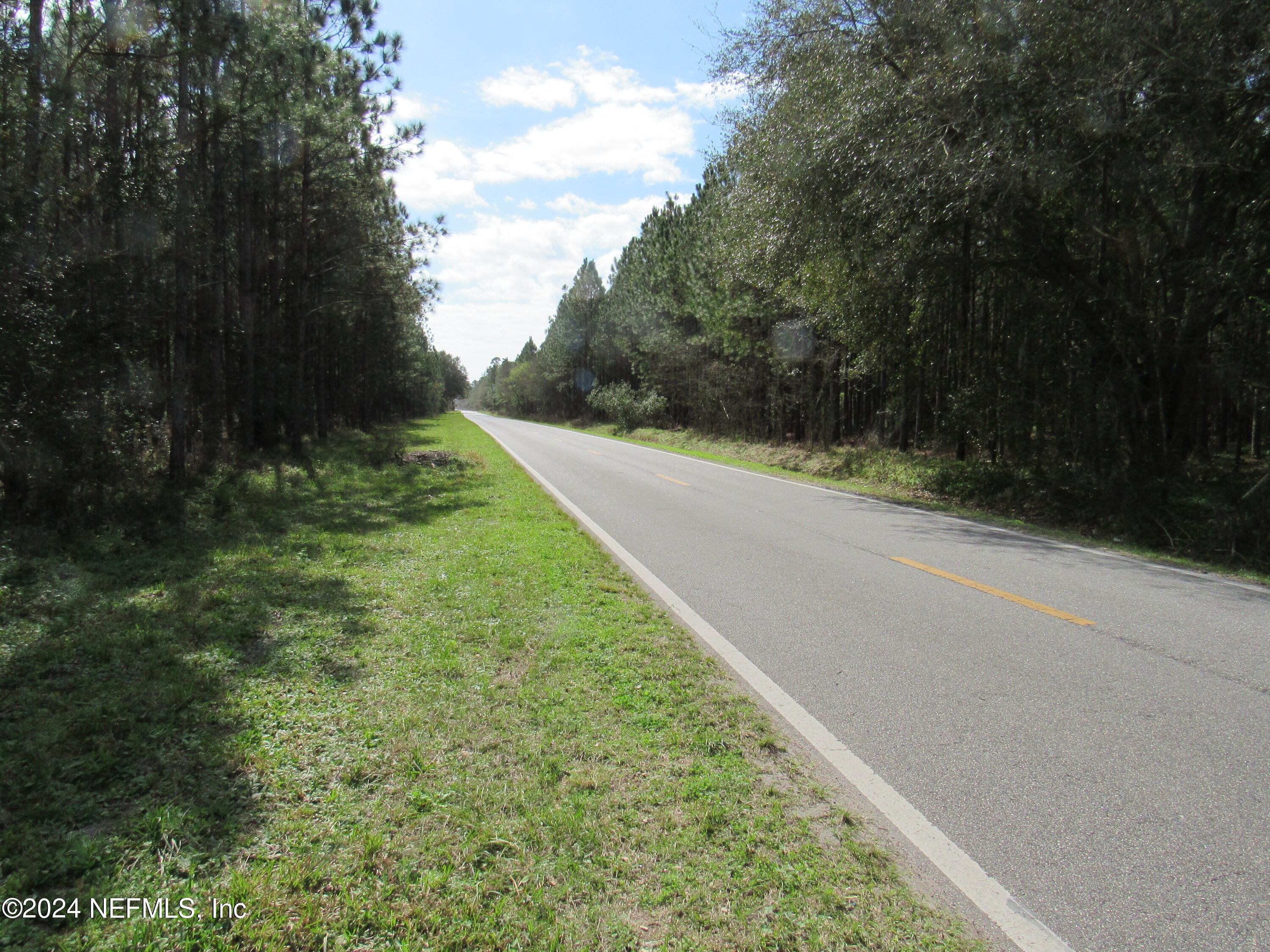 0 J Flake Road Hastings, FL 32145 - Photo 1 of 8 a view of a yard with plants and a trees