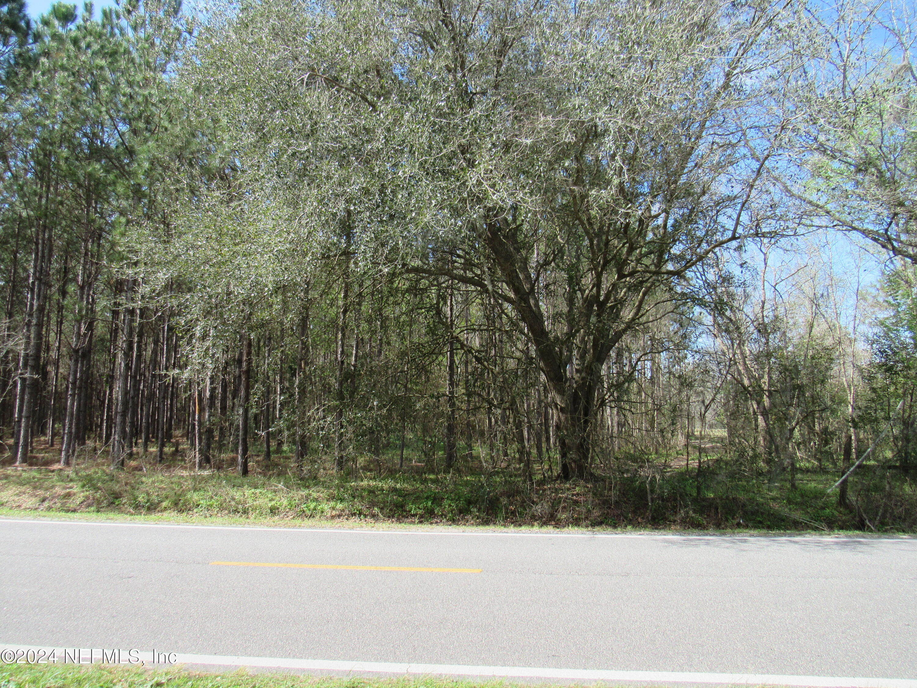 0 J Flake Road Hastings, FL 32145 - Photo 5 of 8 a view of a yard