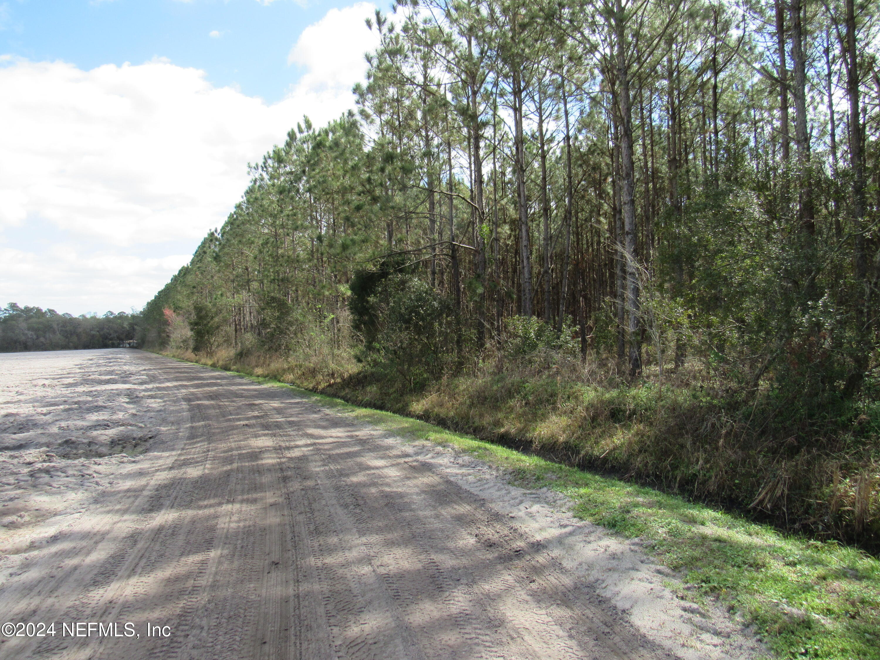 0 J Flake Road Hastings, FL 32145 - Photo 8 of 8 a view of a dry yard with trees