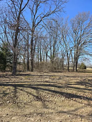 $40,000 | 55125 Private Road, Alba, TX 75410