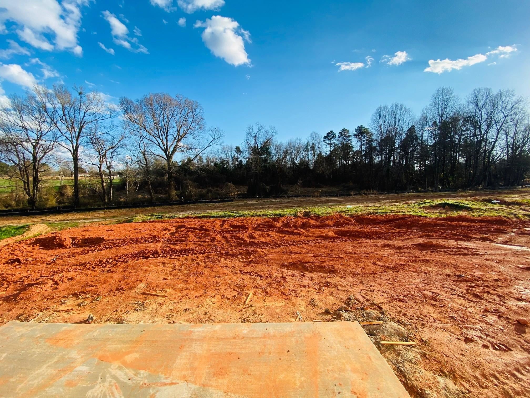 546 New Cut Meadows Road Inman, SC 29349 - Photo 5 of 19