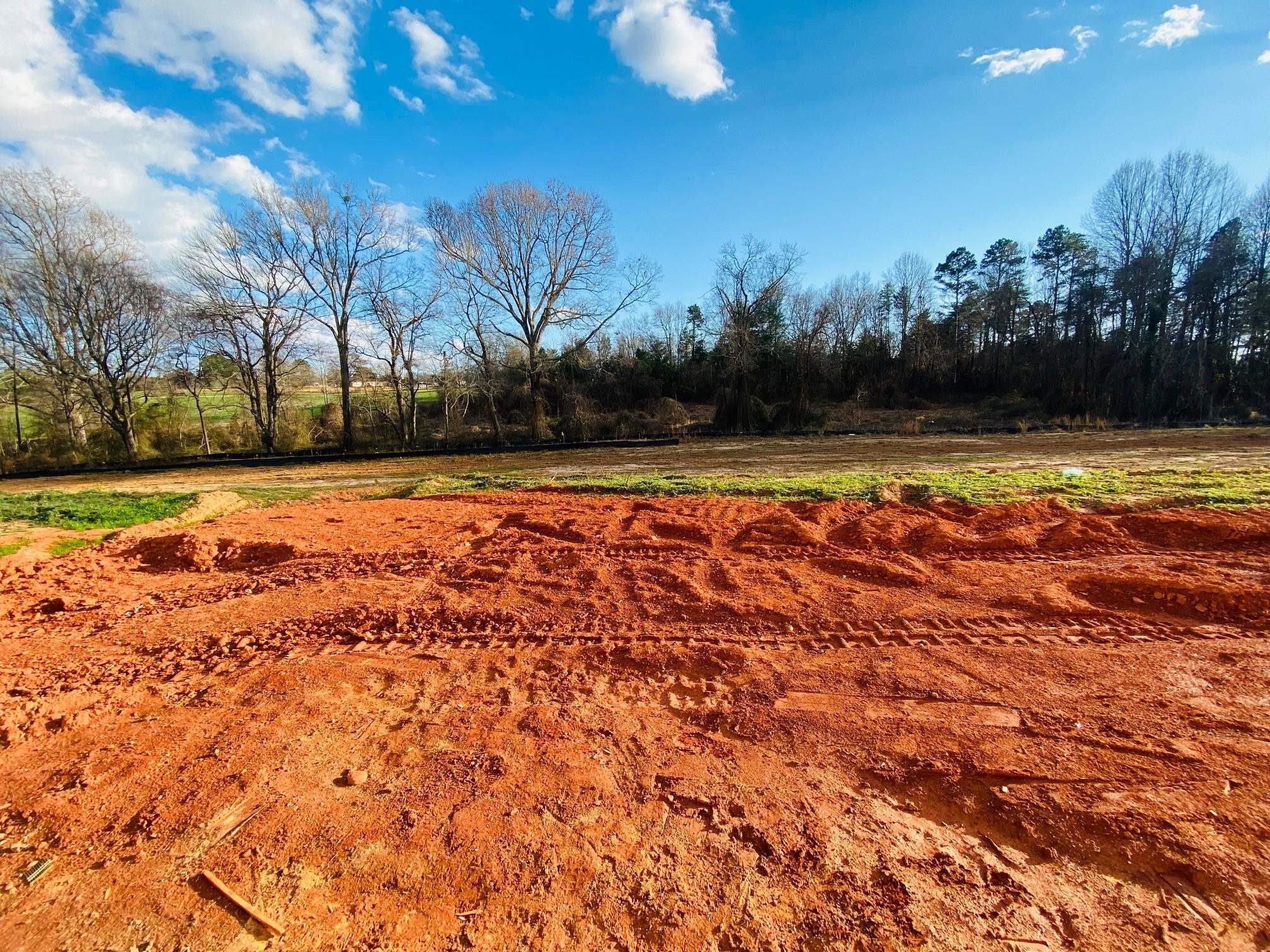 546 New Cut Meadows Road Inman, SC 29349 - Photo 7 of 19