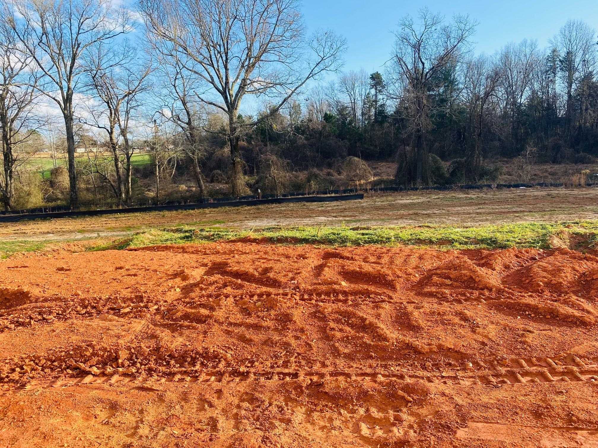 546 New Cut Meadows Road Inman, SC 29349 - Photo 8 of 19