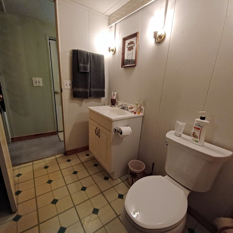 8438 Whartons Dock Road Bandera, TX 78003 - Photo 15 of 20 Updated bathroom