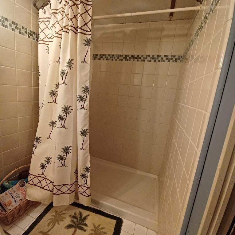 8438 Whartons Dock Road Bandera, TX 78003 - Photo 16 of 20 Walk in double shower