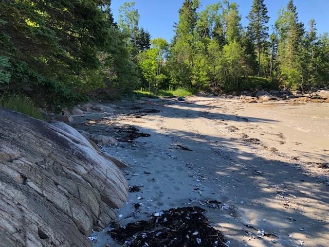 325 Ficketts Point Road Milbridge, ME 04658 - Photo 32 of 35 Beautiful pink granite lined beach.