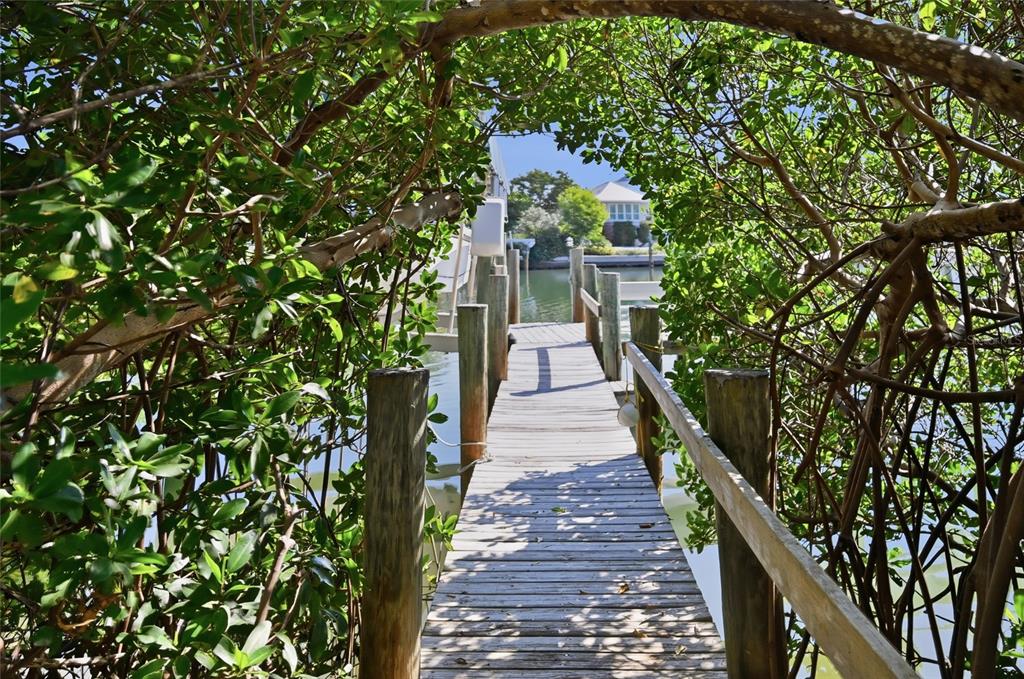 1660 16th Street East Boca Grande, FL 33921 - Photo 31 of 48 a picture of trees