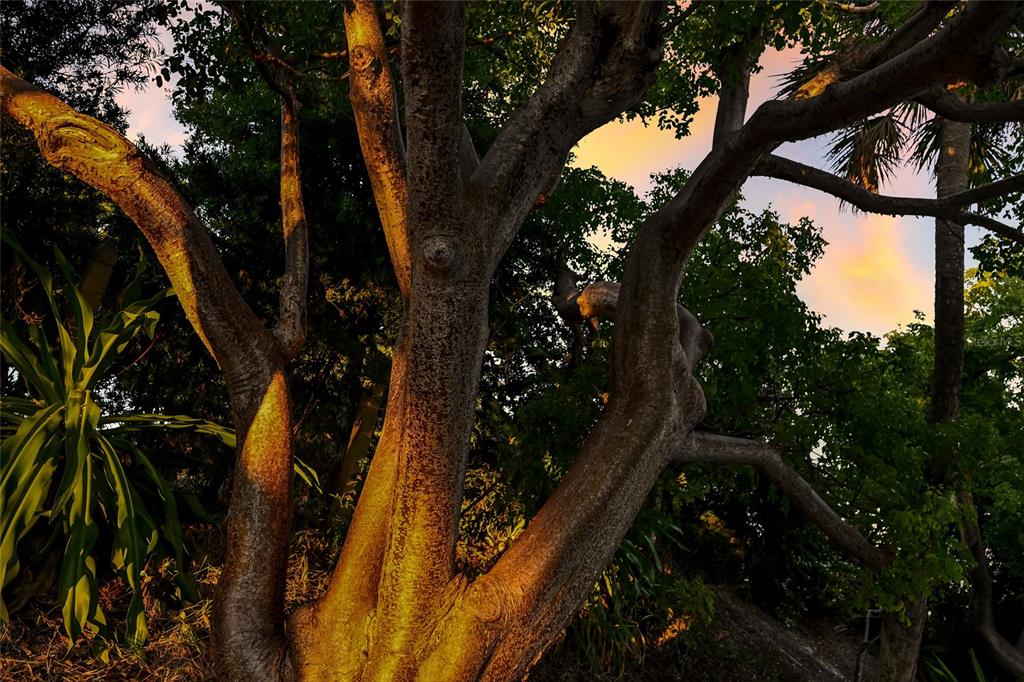 1660 16th Street East Boca Grande, FL 33921 - Photo 49 of 54